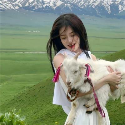 陆小凤传奇之大金鹏王